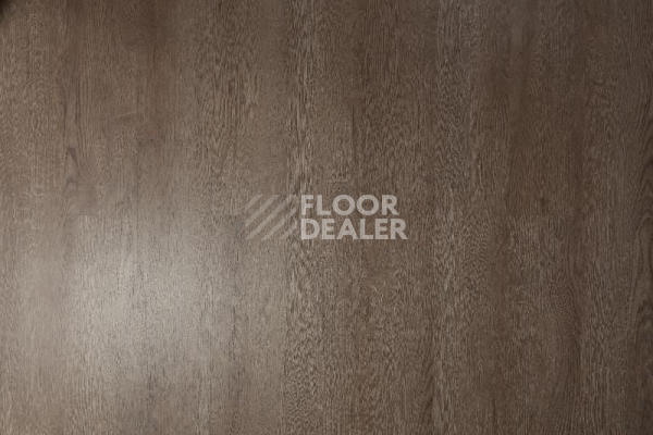 Кварцвиниловые полы Tarkett Funky House TOM фото 1 | FLOORDEALER